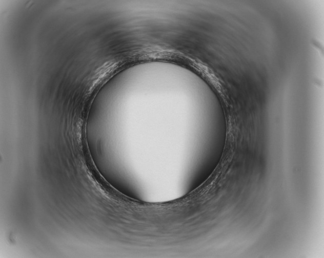 X0000096460010200802071844