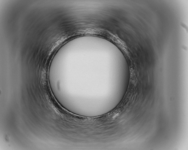 X0000096460012200802071844