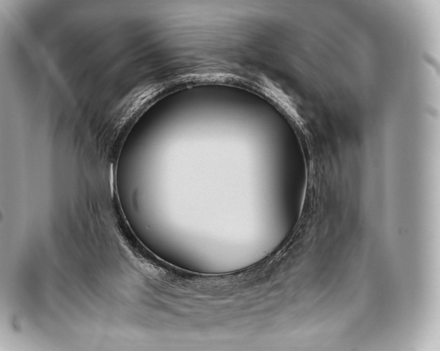 X0000096460013200802071844