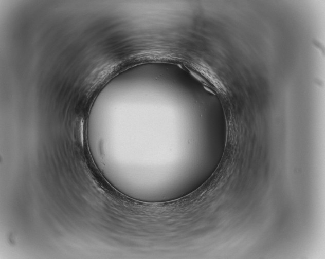 X0000096460014200802071844