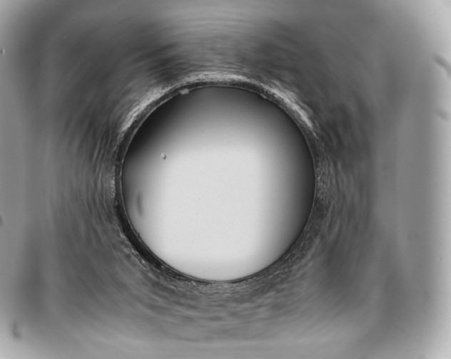X0000096460015200802071844