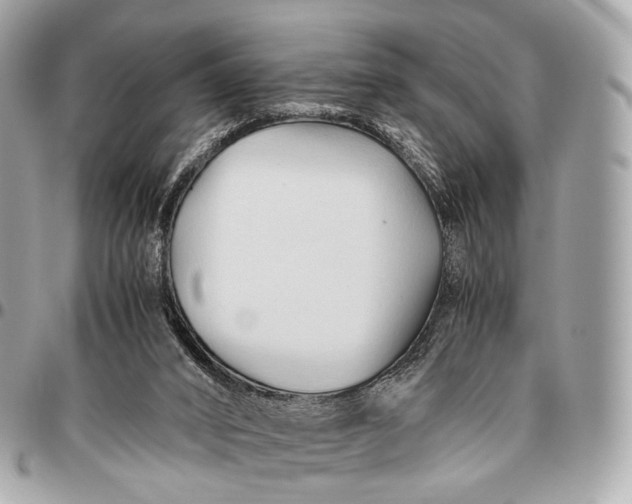 X0000096460016200802071844