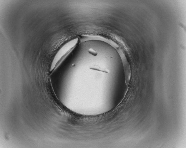 X0000096460017200802071844