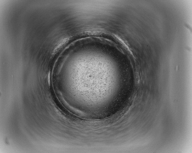 X0000096460019200802071844