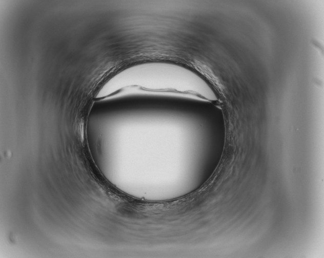 X0000096460021200802071844