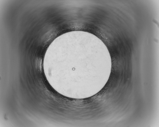 X0000096460024200802071844
