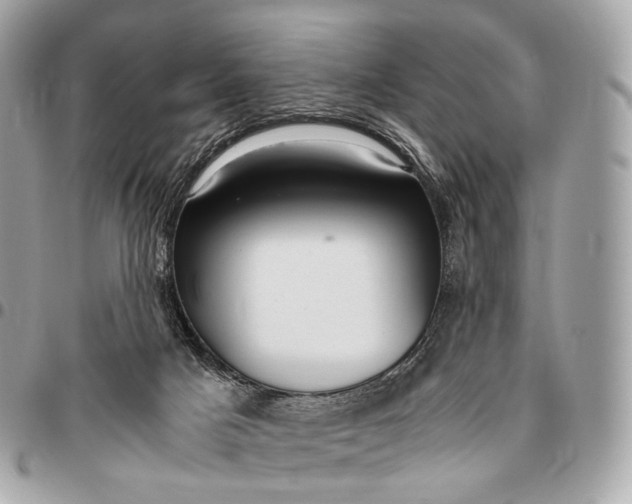X0000096460025200802071844