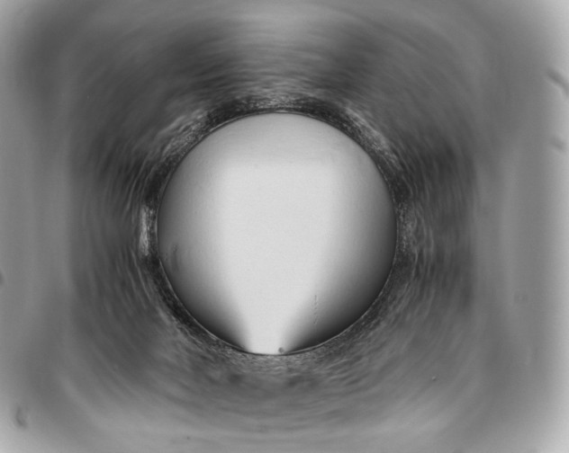 X0000096460026200802071844