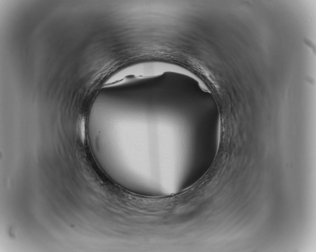X0000096460027200802071844