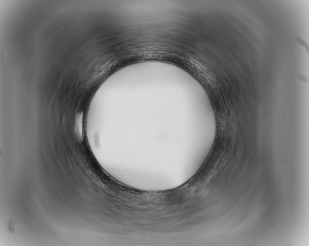 X0000096460028200802071844