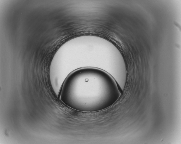 X0000096460029200802071844