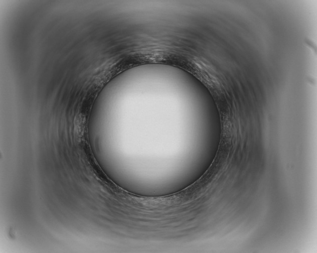 X0000096460030200802071844