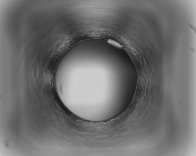 X0000096460031200802071844
