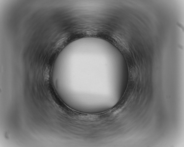 X0000096460032200802071844