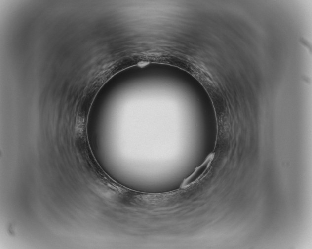 X0000096460033200802071844