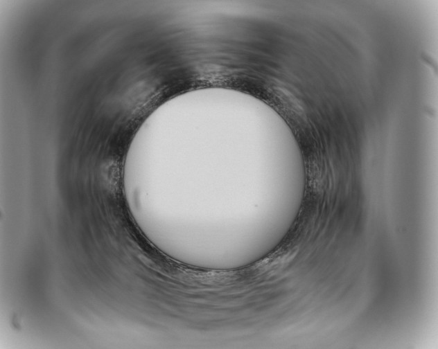 X0000096460036200802071844