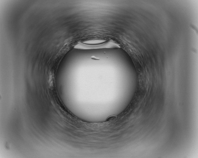 X0000096460038200802071844