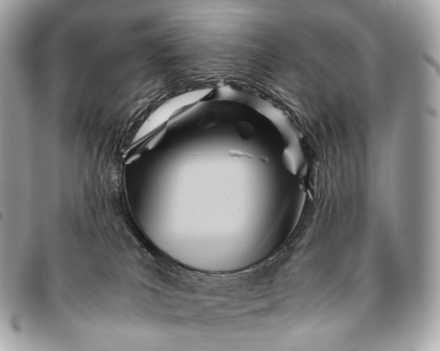 X0000096460039200802071844