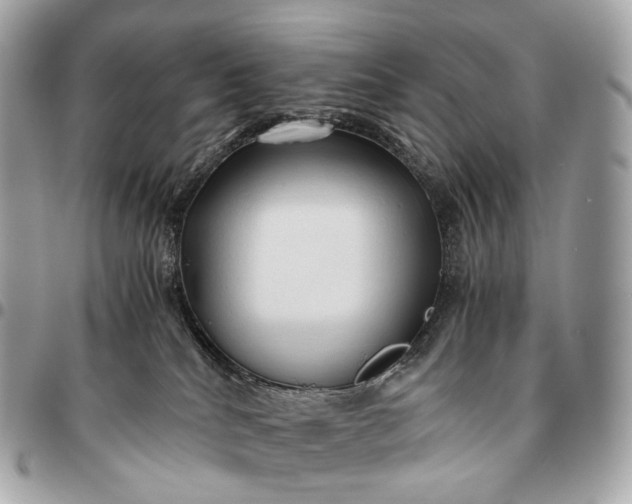X0000096460040200802071844