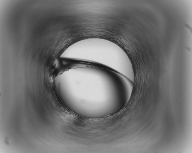 X0000096460041200802071844