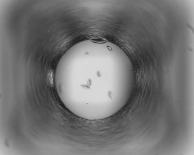 X0000096460042200802071844