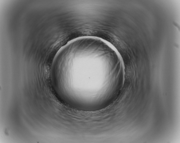 X0000096460043200802071844