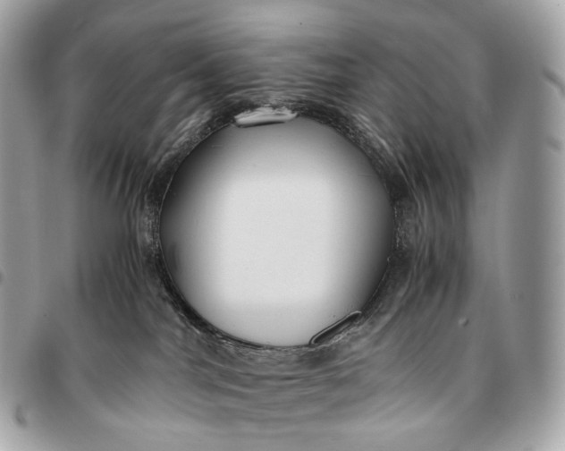 X0000096460044200802071844