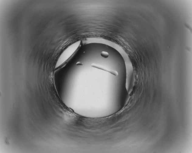 X0000096460045200802071844