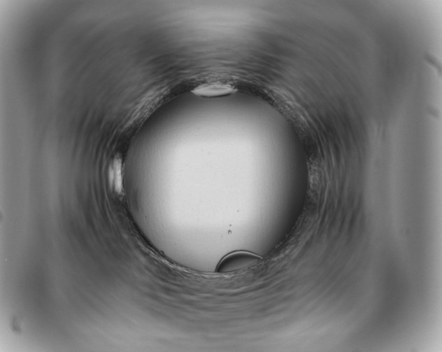 X0000096460046200802071844