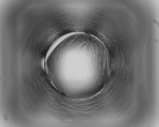 X0000096460047200802071844