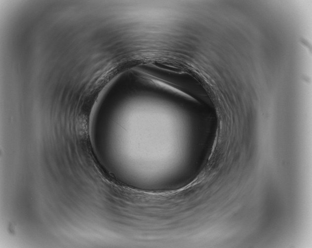 X0000096460048200802071843