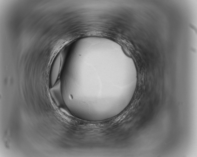 X0000096460049200802071843