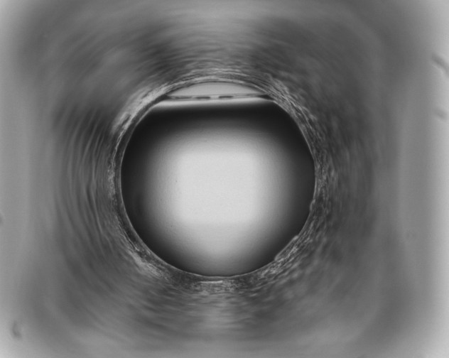 X0000096460050200802071843