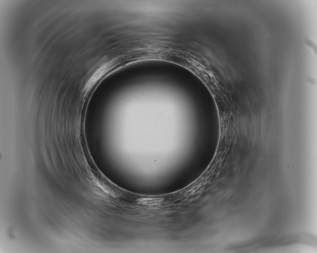 X0000096460051200802071843