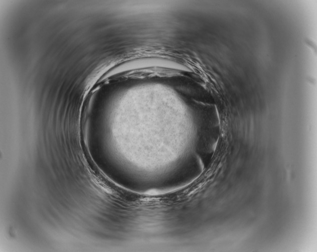 X0000096460052200802071843