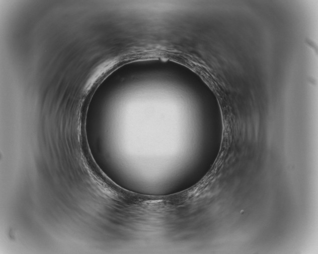 X0000096460054200802071843