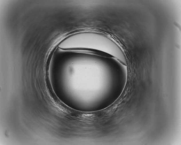 X0000096460055200802071843