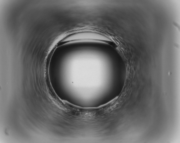 X0000096460056200802071843