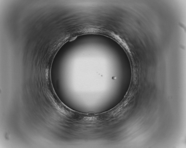 X0000096460057200802071843