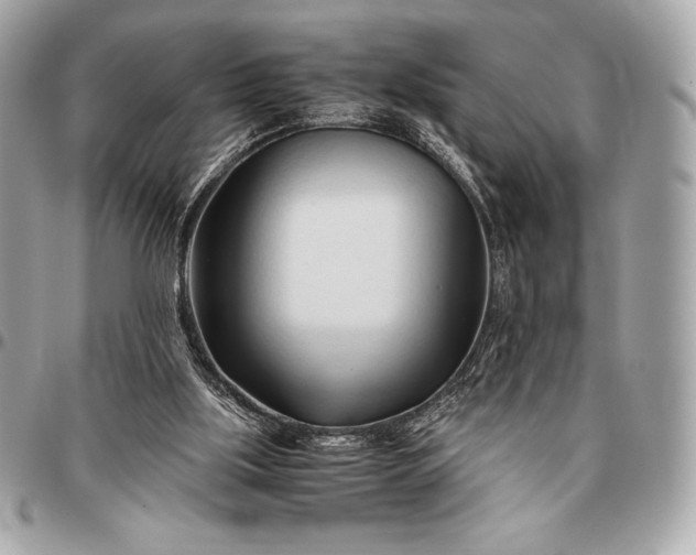 X0000096460059200802071843