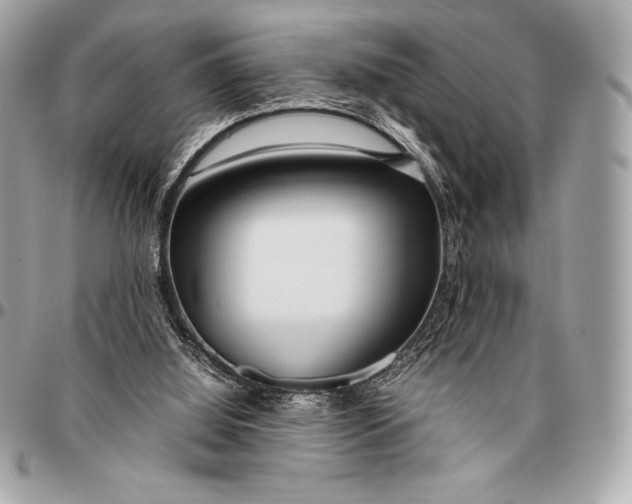 X0000096460060200802071843
