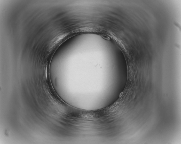 X0000096460062200802071843