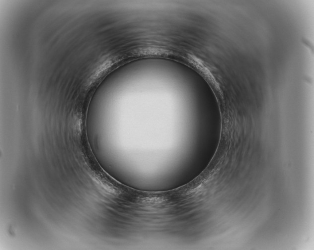 X0000096460063200802071843