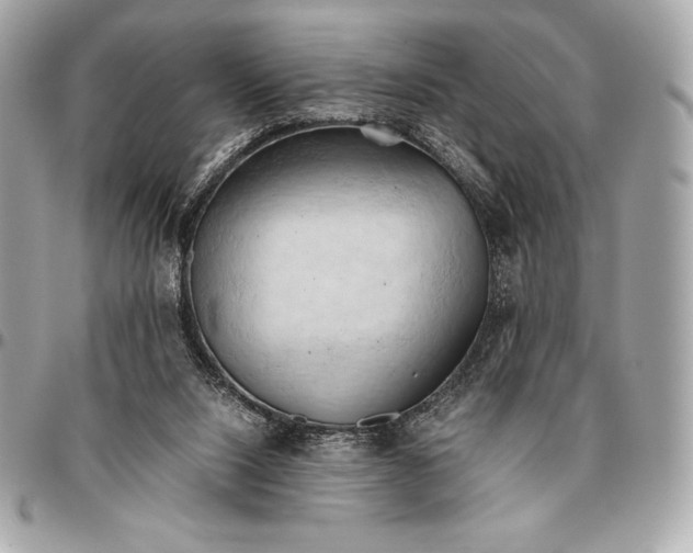 X0000096460064200802071843