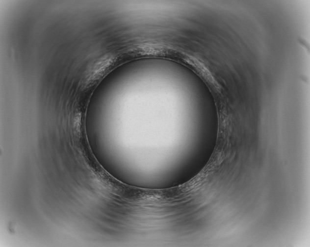 X0000096460066200802071843