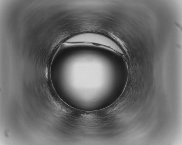 X0000096460067200802071843
