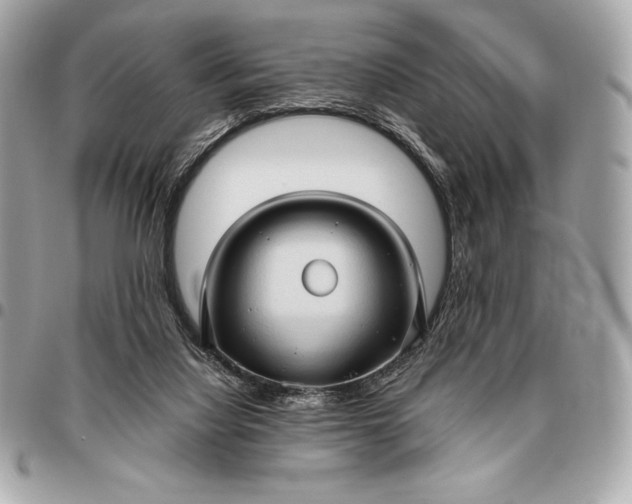 X0000096460068200802071843