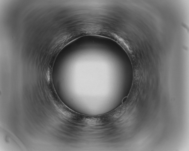 X0000096460069200802071843