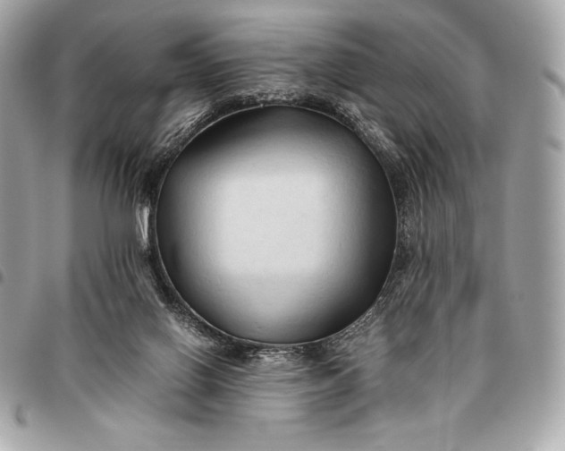 X0000096460070200802071843
