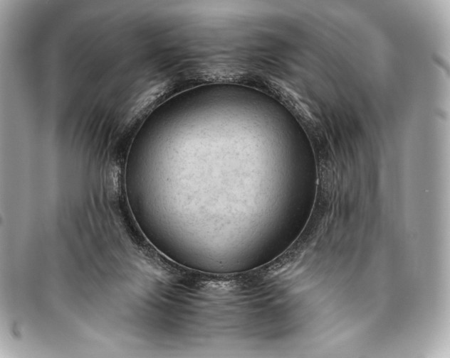 X0000096460071200802071843